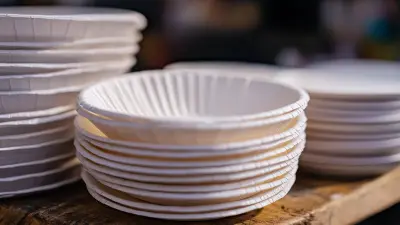 Top 10 Bowl Paper Plate Manufacturers from China at the 137th Canton Fair