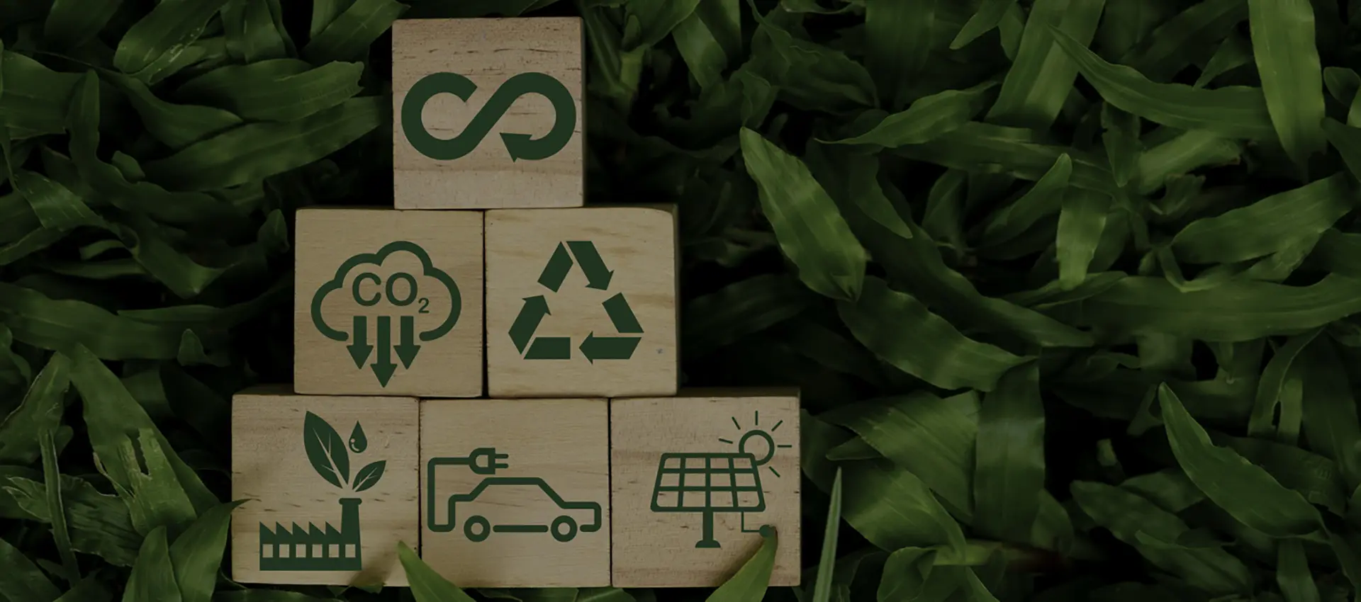 Biodegradable Dixie Cups Factory